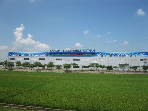 đsf