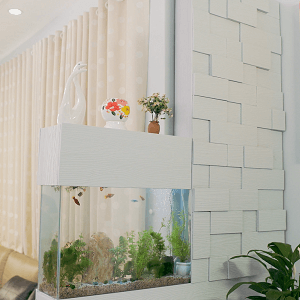HÔ BIẾN HỒ CÁ NGĂN TƯỜNG