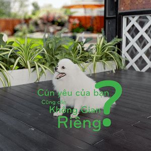 ho-bien-nha-cho-thu-cung-voi-durawood-(7).png