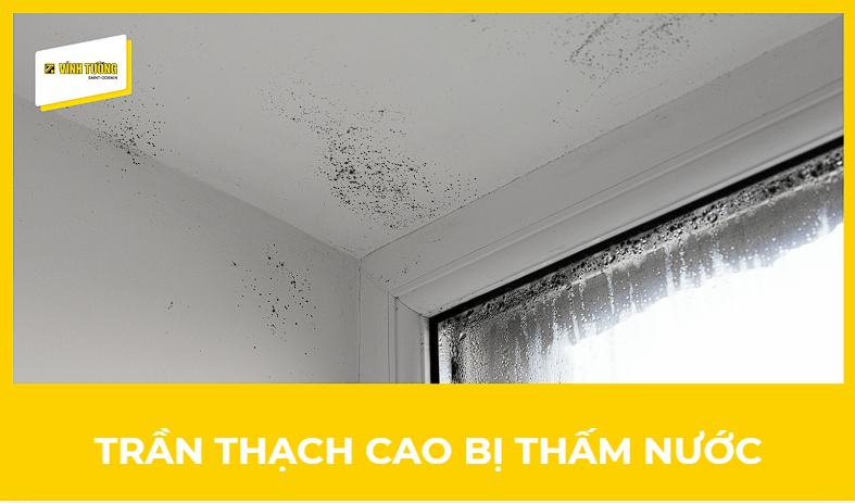 Cách xử lý trần thạch cao bị thấm nước và giải pháp phòng tránh