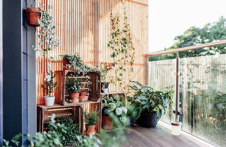 trang trí ban công bằng các chậu cây, chậu hoa để tạo điểm nhấn