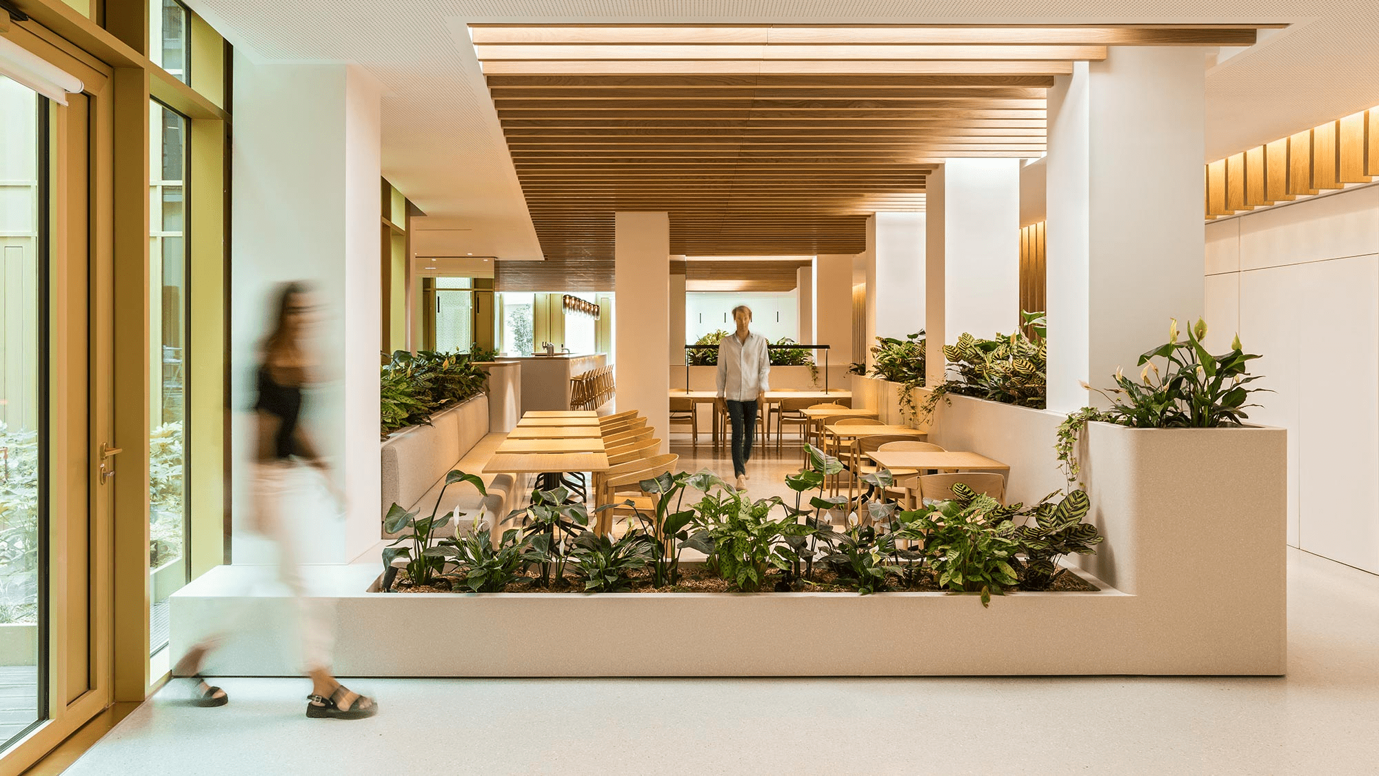 Văn phòng xanh phong cách Biophilic với lối thiết kế đưa mảng xanh vào không gian làm việc