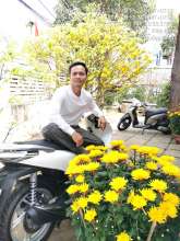 Tạ Quang Linh
