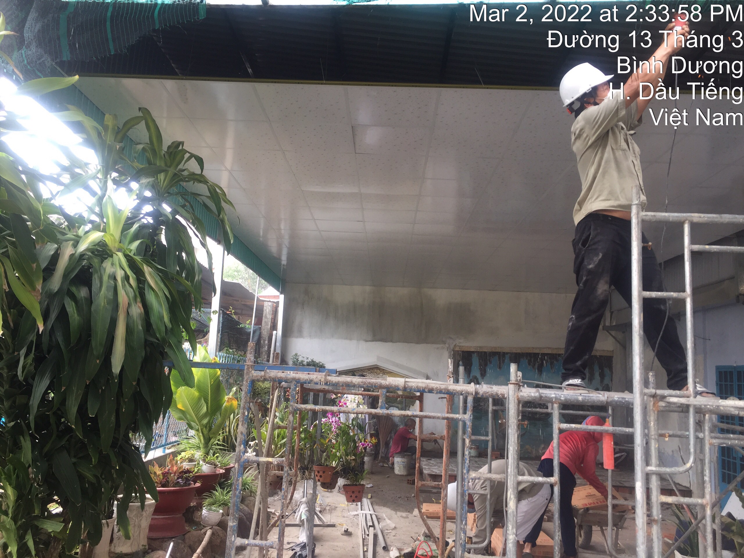 Ảnh dự án