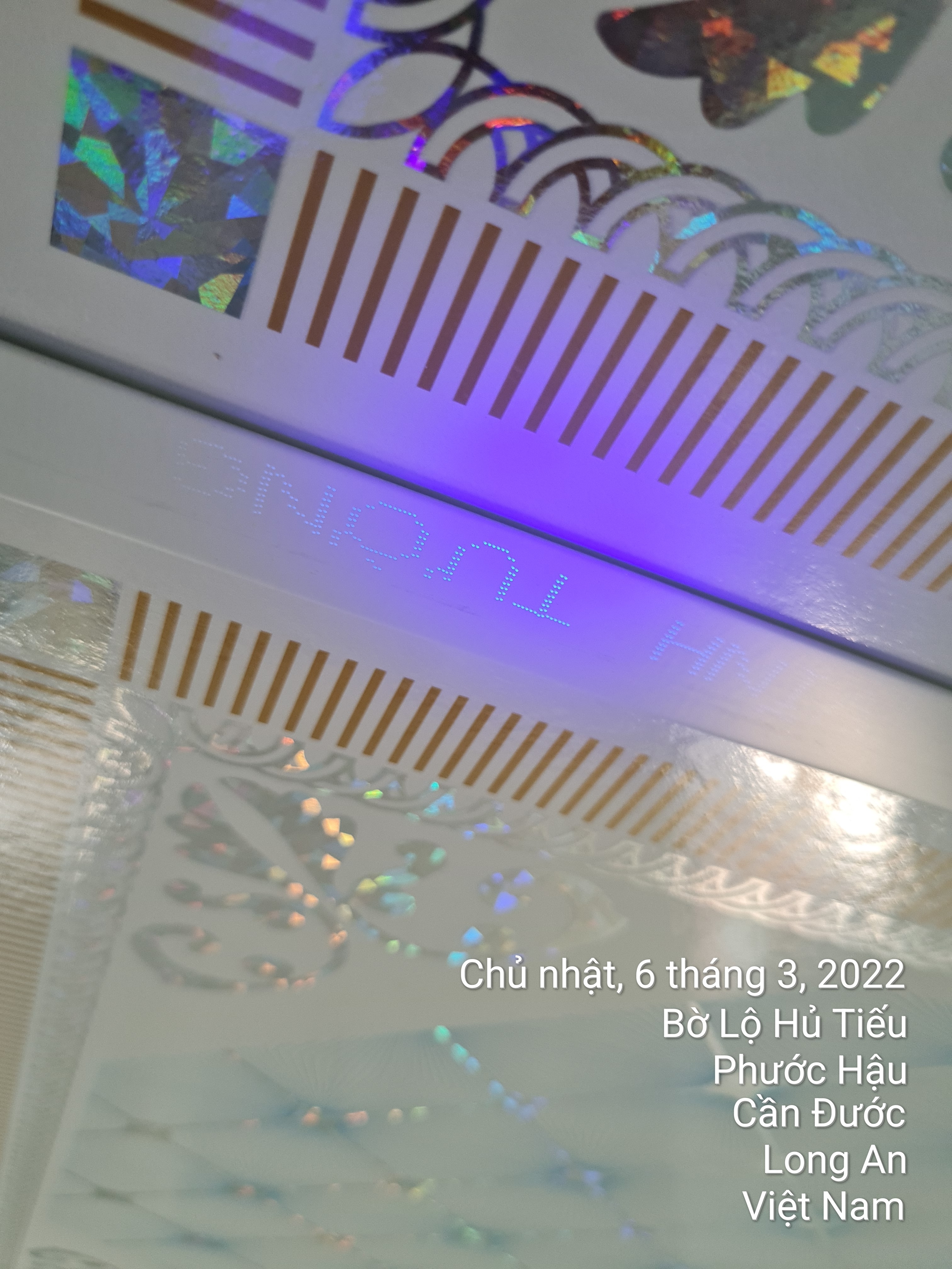 Ảnh dự án