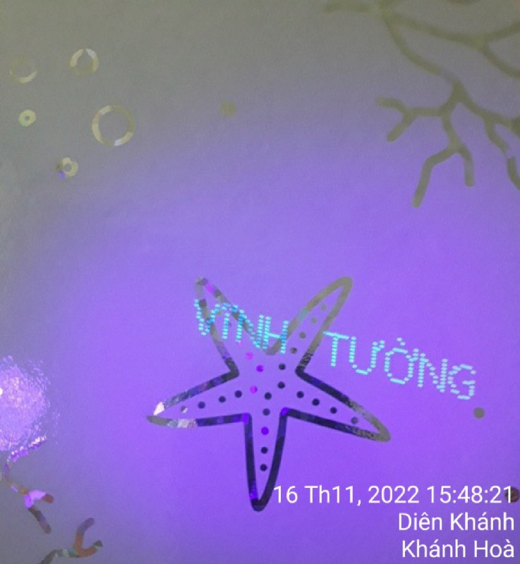 Ảnh dự án