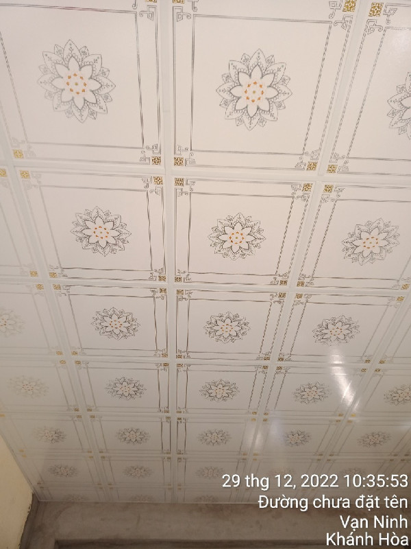 Ảnh dự án