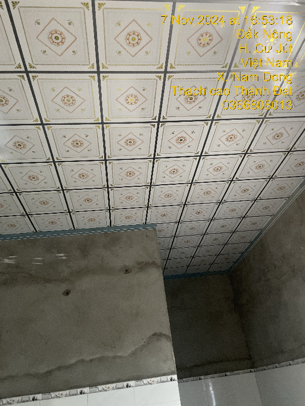 Ảnh dự án