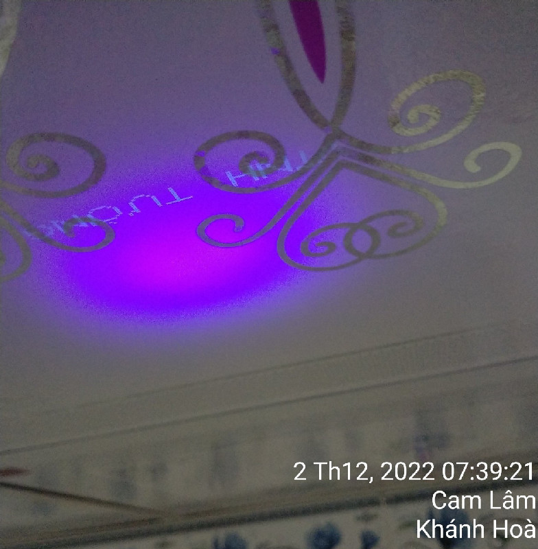 Ảnh dự án