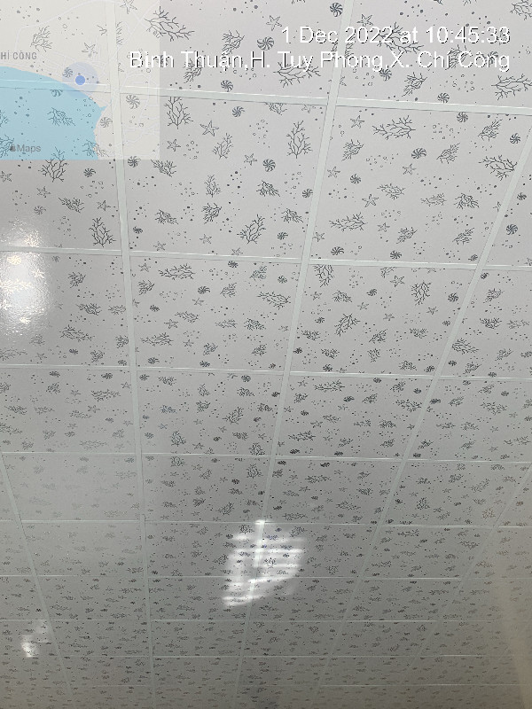 Ảnh dự án