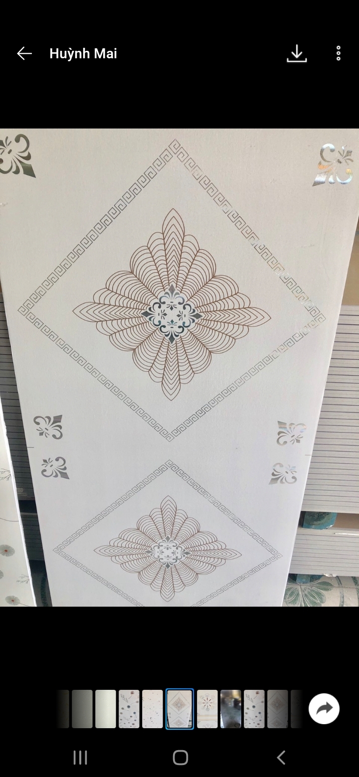 Ảnh dự án