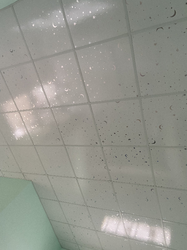 Ảnh dự án