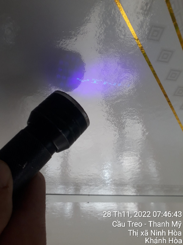 Ảnh dự án